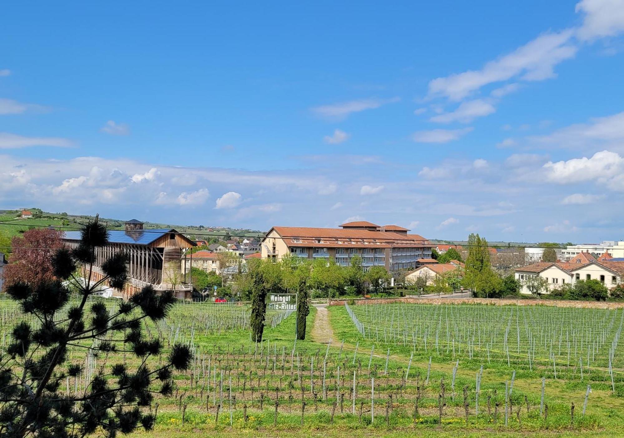 Ihr Bett Mit Blick Auf Die Weinberge 바트두르크하임 외부 사진